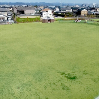 芝生広場